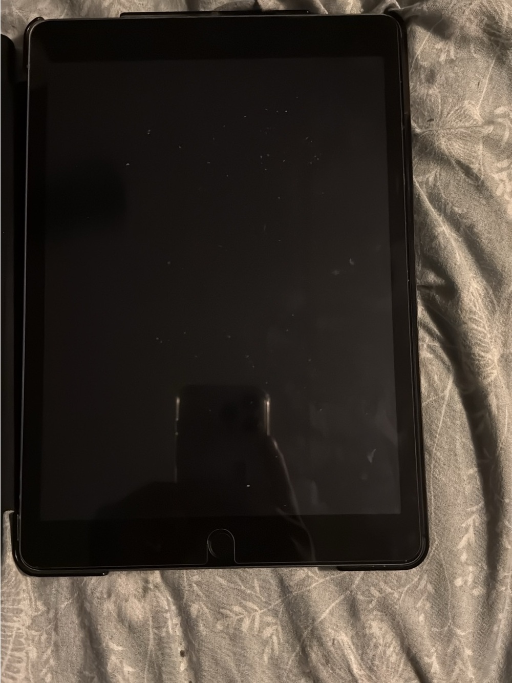 Apple iPad